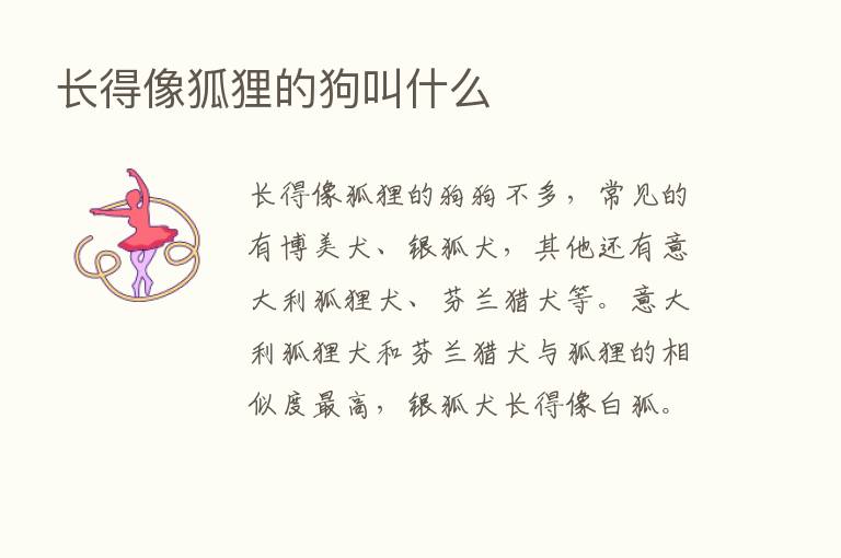 长得像狐狸的狗叫什么