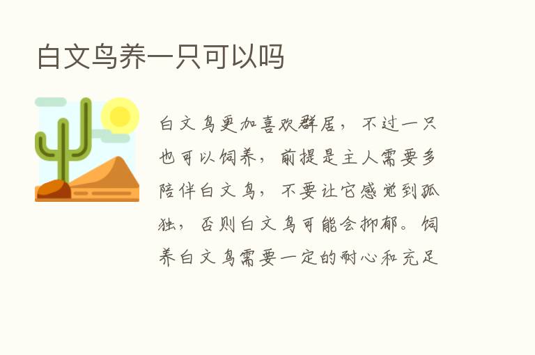 白文鸟养一只可以吗