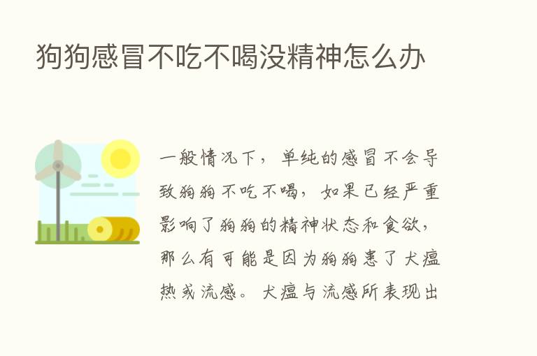 狗狗感冒不吃不喝没精神怎么办