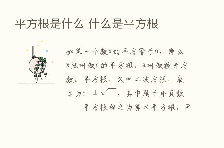 平方根是什么 什么是平方根