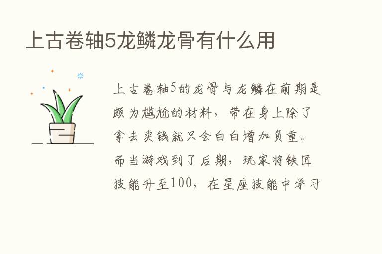 上古卷轴5龙鳞龙骨有什么用