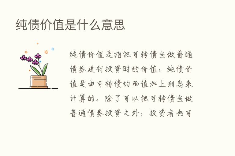 纯债价值是什么意思