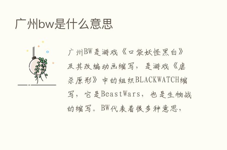 广州bw是什么意思