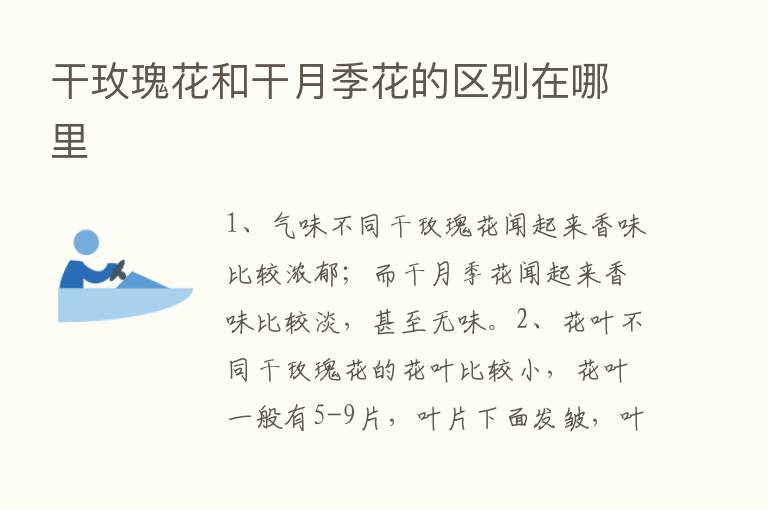 干玫瑰花和干月季花的区别在哪里