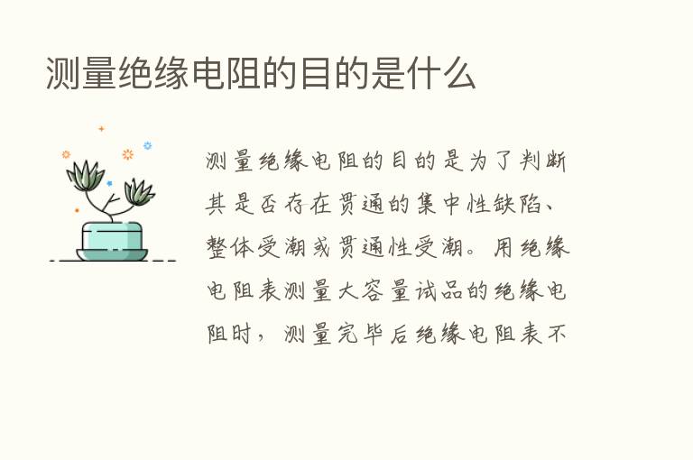 测量绝缘电阻的目的是什么