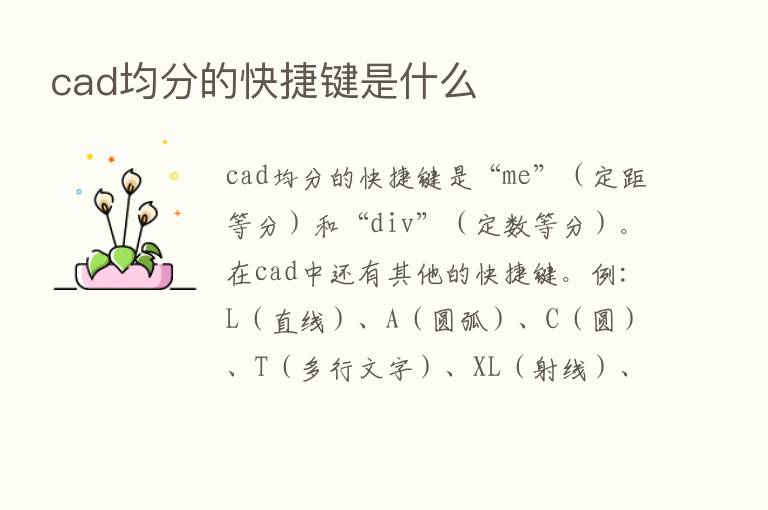 cad均分的快捷键是什么