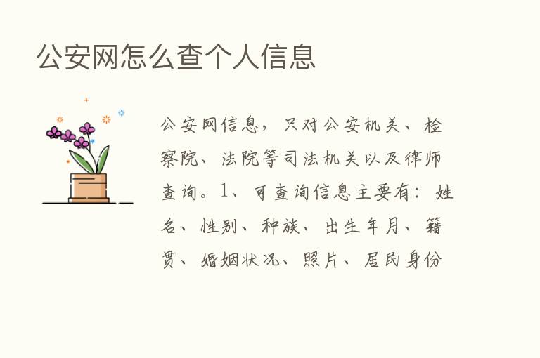 公安网怎么查个人信息