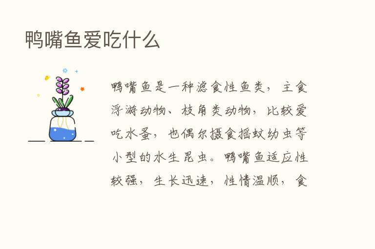 鸭嘴鱼爱吃什么