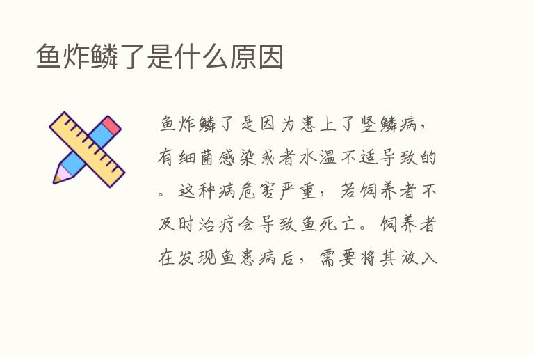 鱼炸鳞了是什么原因