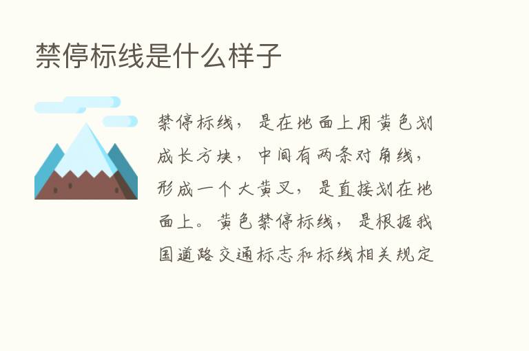 禁停标线是什么样子