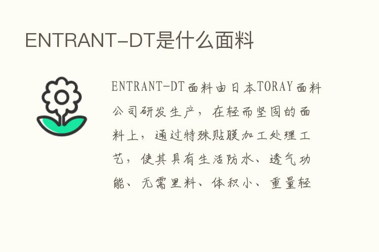 ENTRANT-DT是什么面料