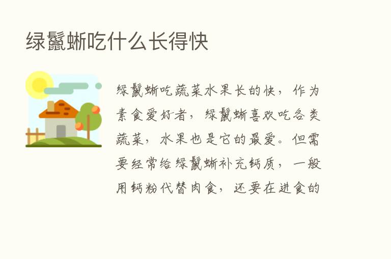 绿鬣蜥吃什么长得快