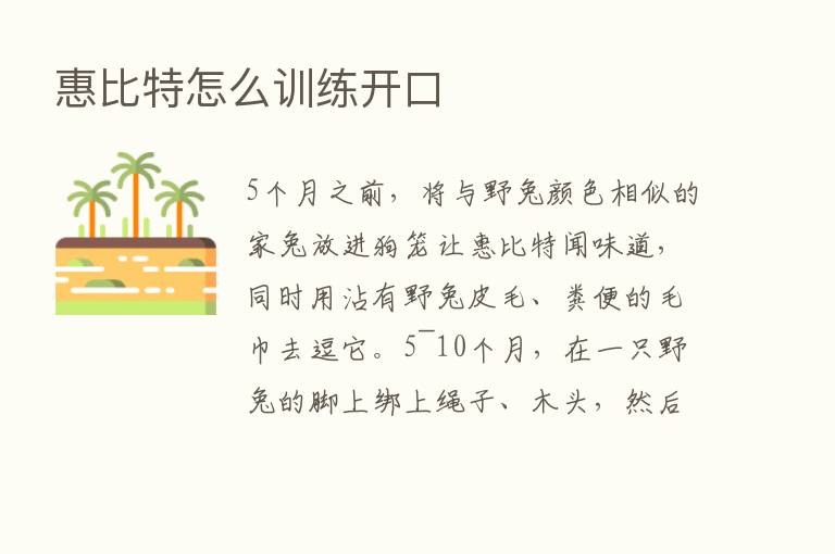 惠比特怎么训练开口