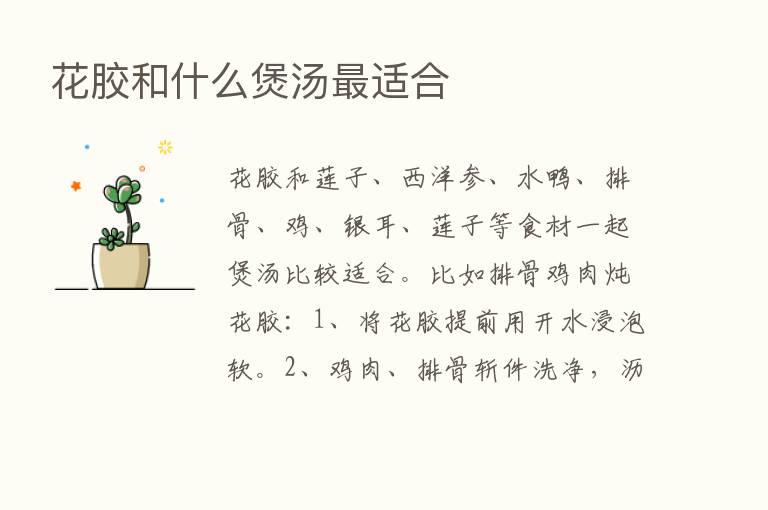 花胶和什么煲汤   适合