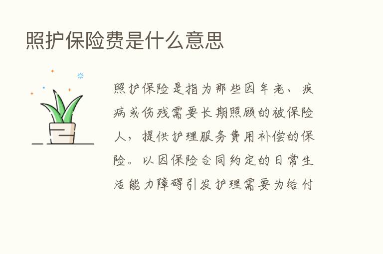 照护      费是什么意思