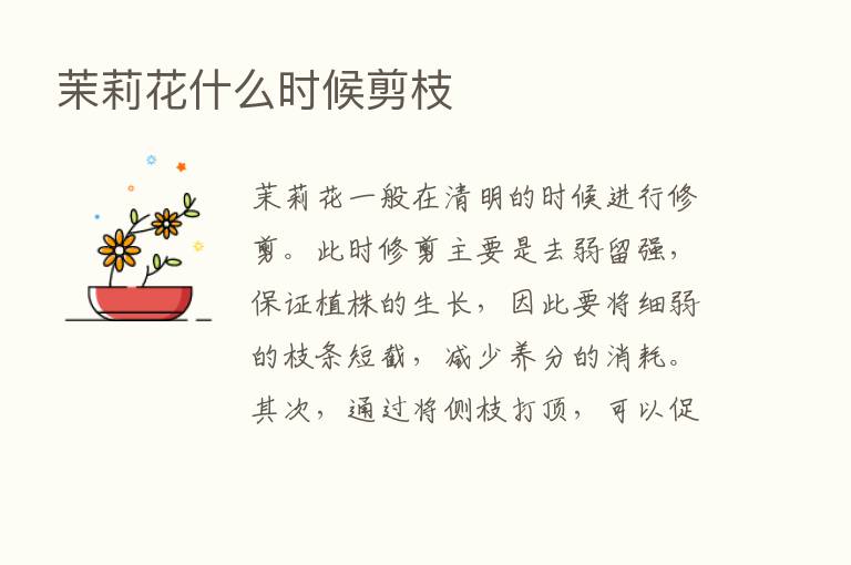 茉莉花什么时候剪枝