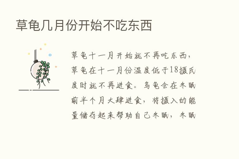 草龟几月份开始不吃东西