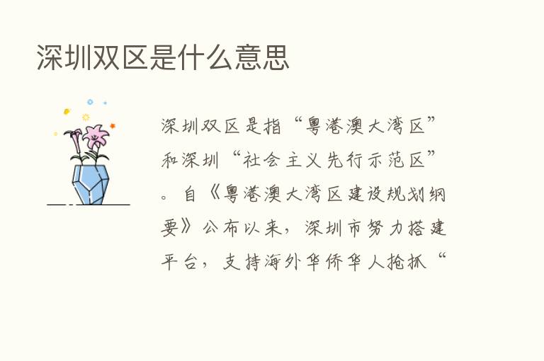 深圳双区是什么意思