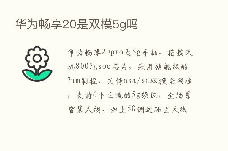 华为畅享20是双模5g吗