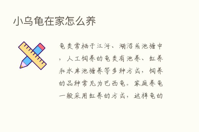 小乌龟在家怎么养