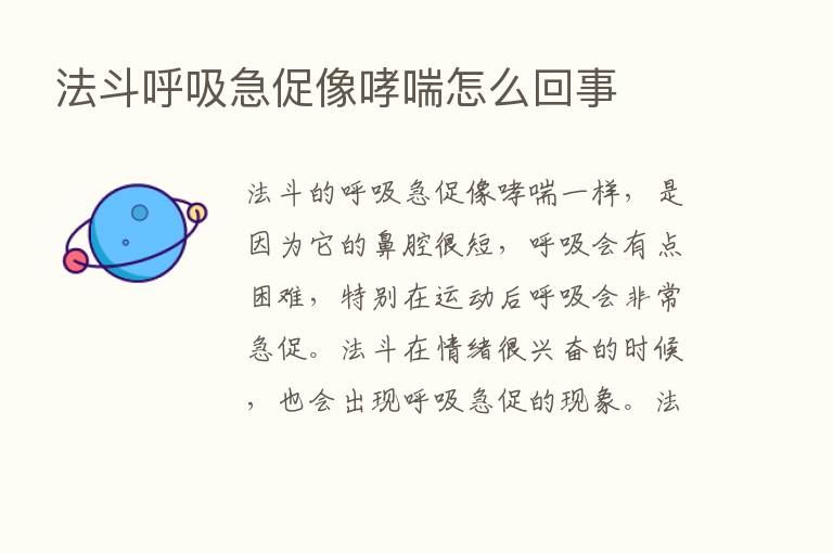 法斗呼吸急促像哮喘怎么回事