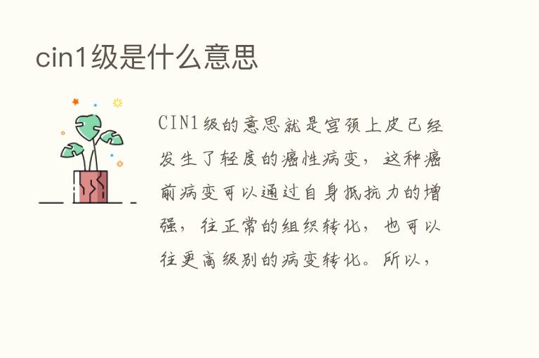 cin1级是什么意思