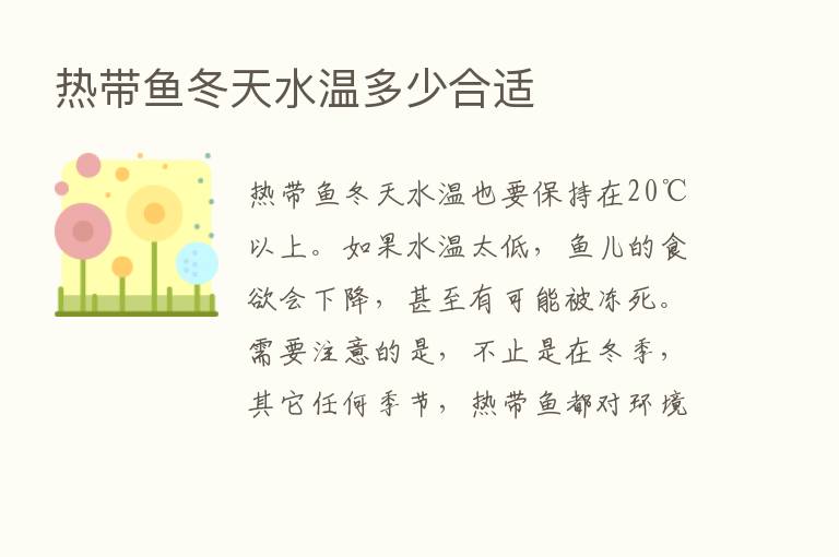 热带鱼冬天水温多少合适