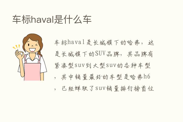 车标haval是什么车