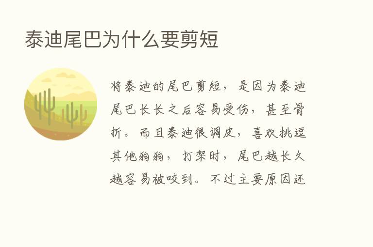 泰迪尾巴为什么要剪短