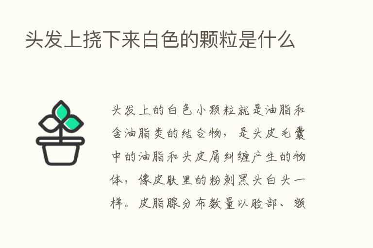 头发上挠下来白色的颗粒是什么