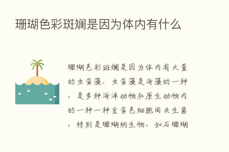 珊瑚色彩斑斓是因为体内有什么