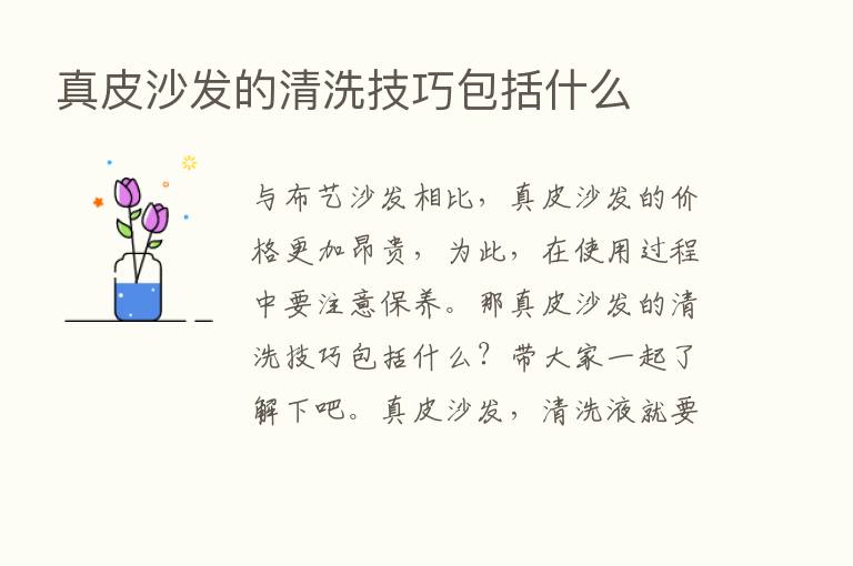 真皮沙发的清洗技巧包括什么