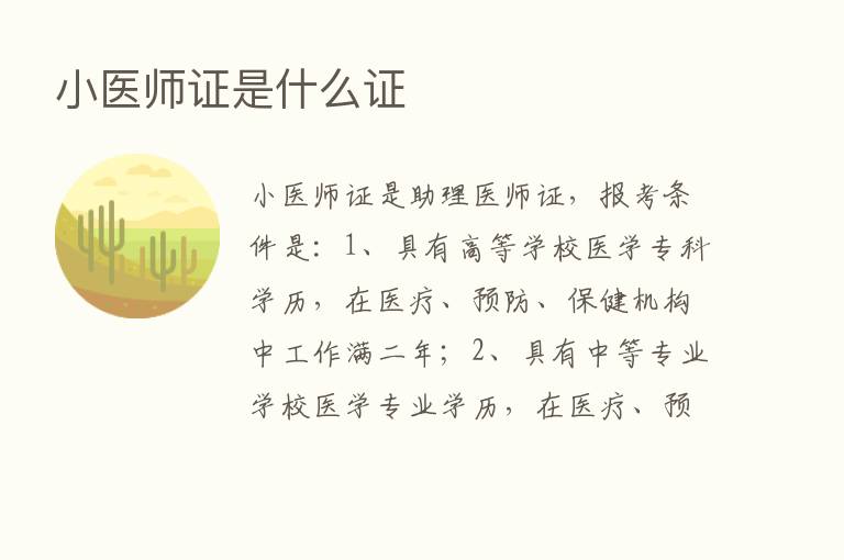 小医师证是什么证