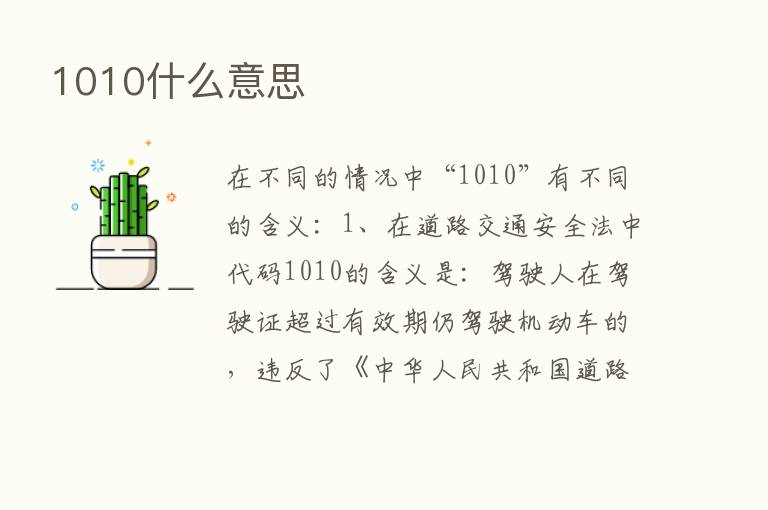 1010什么意思