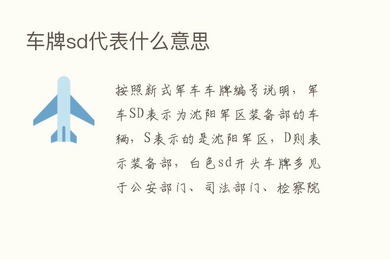 车牌sd代表什么意思