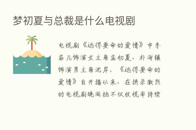 梦初夏与总裁是什么电视剧