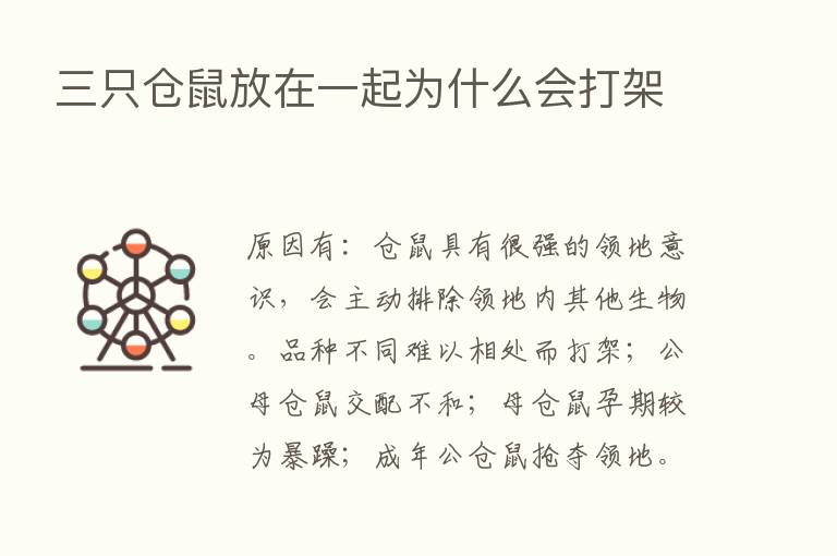 三只仓鼠放在一起为什么会打架