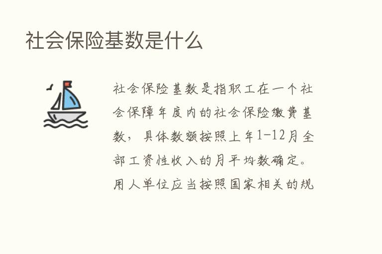 社会      基数是什么