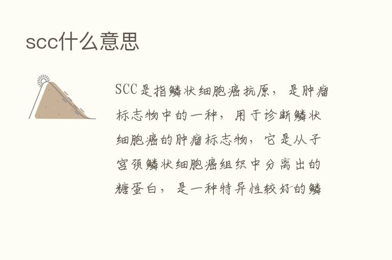 scc什么意思