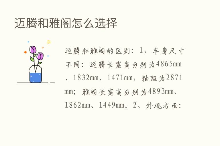 迈腾和雅阁怎么选择