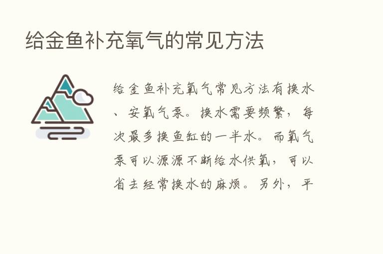 给金鱼补充氧气的常见方法