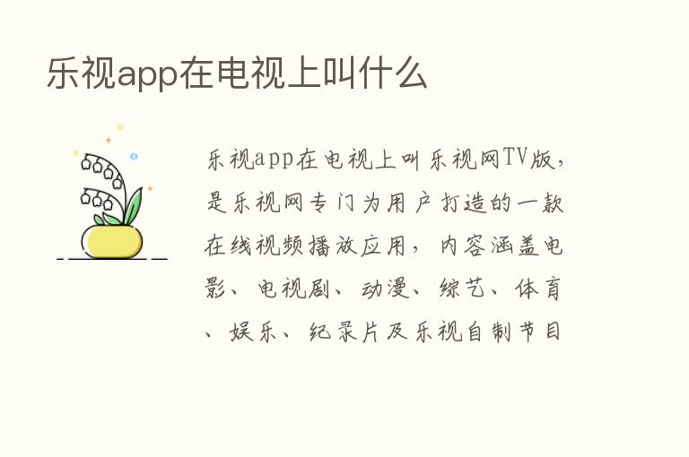 乐视app在电视上叫什么