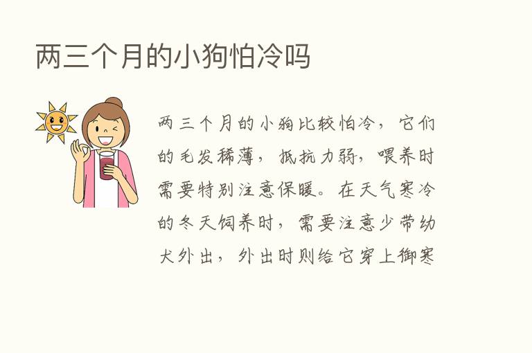 两三个月的小狗怕冷吗