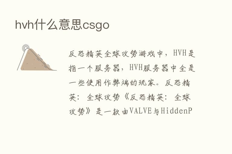 hvh什么意思csgo