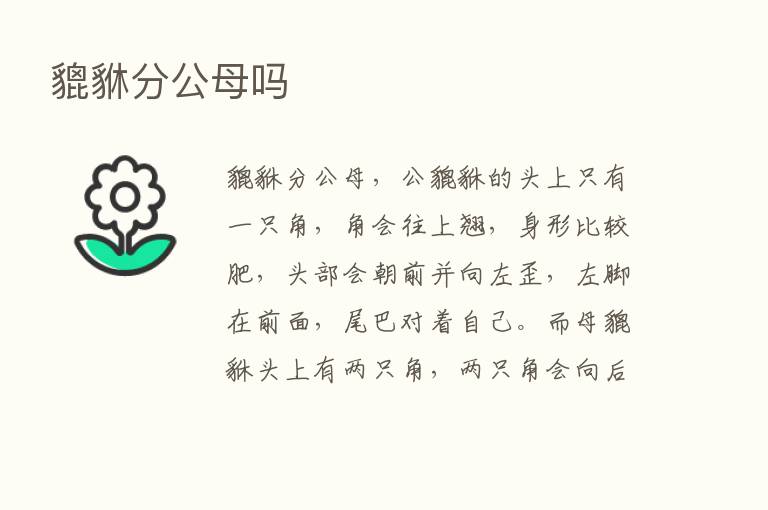 貔貅分公母吗