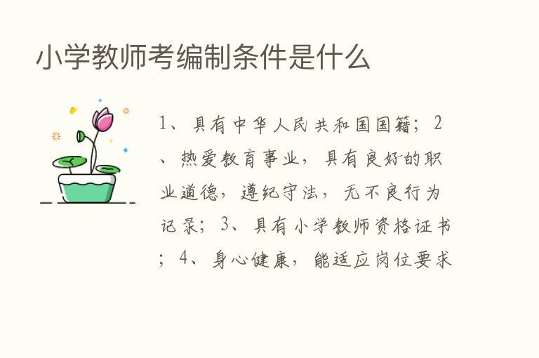 小学教师考编制条件是什么