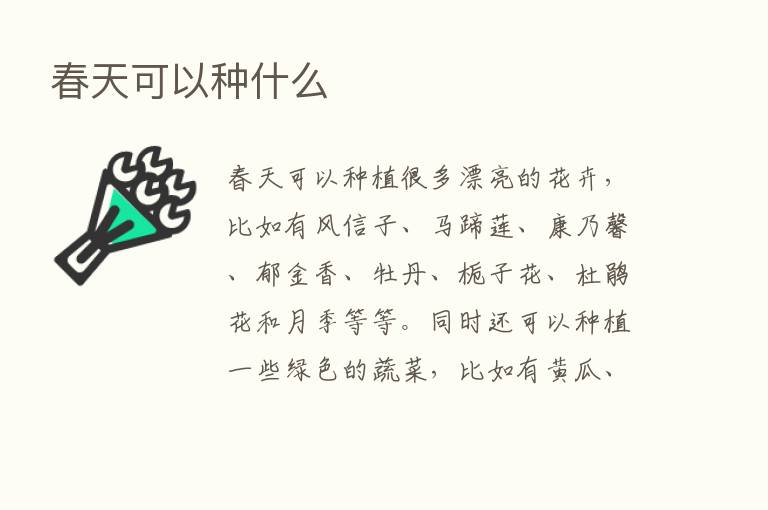 春天可以种什么