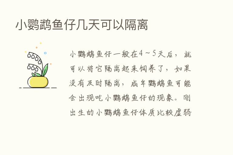 小鹦鹉鱼仔几天可以隔离