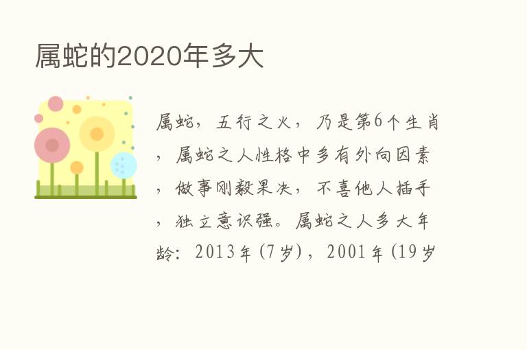 属蛇的2020年多大