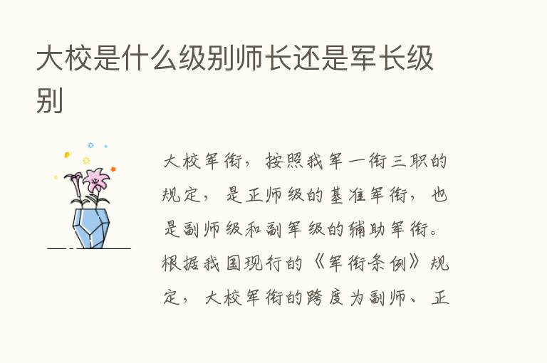 大校是什么级别师长还是军长级别